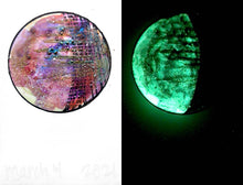 Load image into Gallery viewer, The Many Moons Project . March 4th, 2021