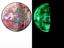 Load image into Gallery viewer, The Many Moons Project . March 5th, 2021