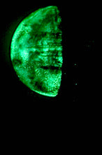 Load image into Gallery viewer, The Many Moons Project . March 5th, 2021