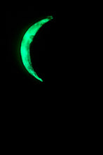 Load image into Gallery viewer, The Many Moons Project . March 9th, 2021