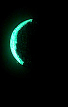 Load image into Gallery viewer, The Many Moons Project . November 11th, 2020