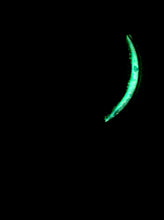 Load image into Gallery viewer, The Many Moons Project . November 16th, 2020