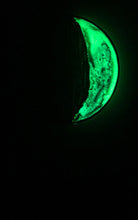 Load image into Gallery viewer, The Many Moons Project . November 20th, 2020