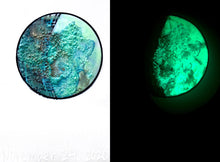 Load image into Gallery viewer, The Many Moons Project . November 24th, 2020