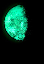 Load image into Gallery viewer, The Many Moons Project . November 5th, 2020