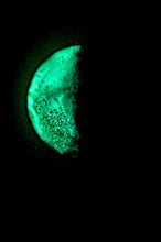 Load image into Gallery viewer, The Many Moons Project . November 9th, 2020