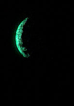 Load image into Gallery viewer, The Many Moons Project . October 13th, 2020
