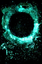 Load image into Gallery viewer, The Many Moons Project . October 15th, 2020