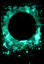 Load image into Gallery viewer, The Many Moons Project . October 16th, 2020