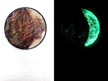 Load image into Gallery viewer, The Many Moons Project . October 21st, 2020