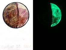Load image into Gallery viewer, The Many Moons Project . October 22nd, 2020