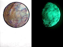 Load image into Gallery viewer, The Many Moons Project . October 28th, 2020