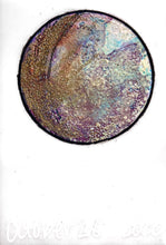 Load image into Gallery viewer, The Many Moons Project . October 28th, 2020