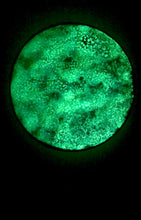 Load image into Gallery viewer, The Many Moons Project . October 2nd, 2020