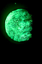 Load image into Gallery viewer, The Many Moons Project . October 5th, 2020