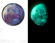 Load image into Gallery viewer, The Many Moons Project . October 6th, 2020