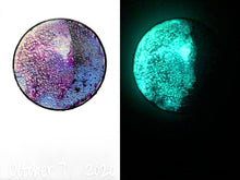 Load image into Gallery viewer, The Many Moons Project . October 7th, 2020