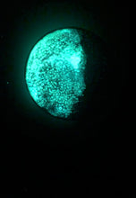 Load image into Gallery viewer, The Many Moons Project . October 7th, 2020