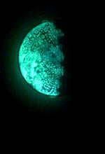 Load image into Gallery viewer, The Many Moons Project . October 8th, 2020