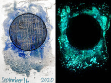 Load image into Gallery viewer, The Many Moons Project . September 16th, 2020