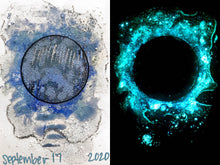 Load image into Gallery viewer, The Many Moons Project . September 17th, 2020