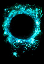 Load image into Gallery viewer, The Many Moons Project . September 17th, 2020