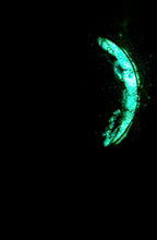 Load image into Gallery viewer, The Many Moons Project . September 19th, 2020