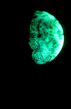 Load image into Gallery viewer, The Many Moons Project . September 24th, 2020