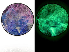Load image into Gallery viewer, The Many Moons Project . September 30th, 2020