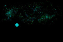 Load image into Gallery viewer, Moments To Fall . Original Light Reactive Painting
