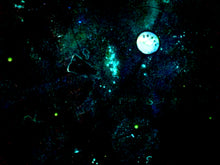 Load image into Gallery viewer, Find Your Destiny - Original Light Reactive Star Map
