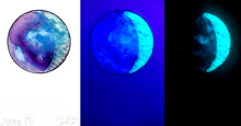 Load image into Gallery viewer, The Many Moons Project . June 15th, 2021
