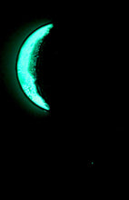 Load image into Gallery viewer, The Many Moons Project . December 11th, 2020
